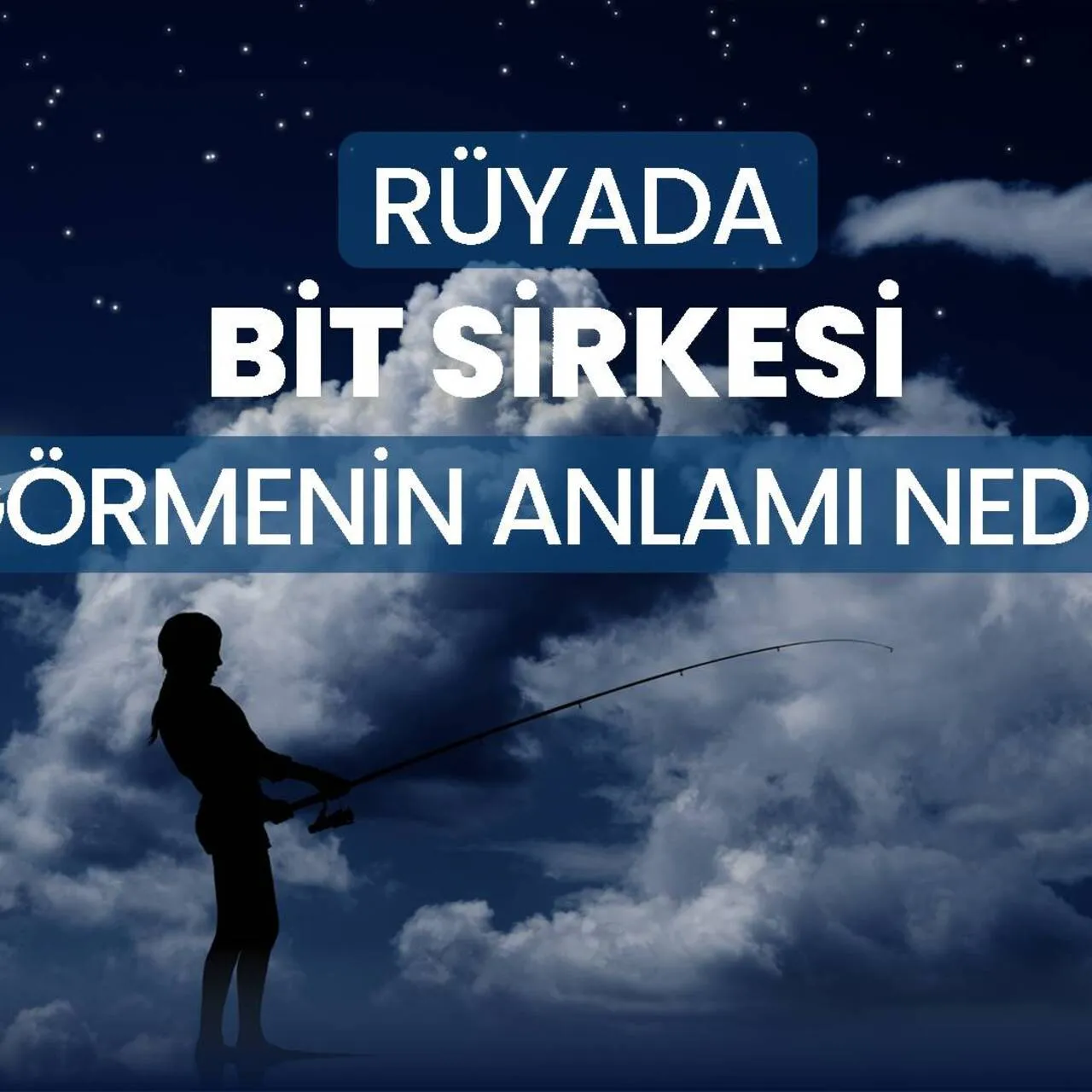 Rüyada Bit Sirkesi Görmek Ne Anlama Gelir?