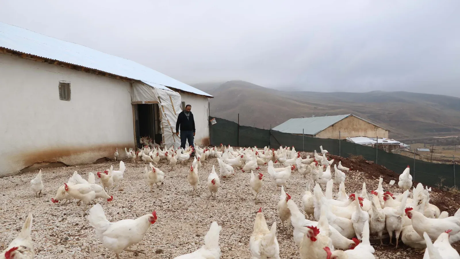 3 Yılda 1000'e Ulaşan Yatırım: Kazanç Potansiyeli Yüksek